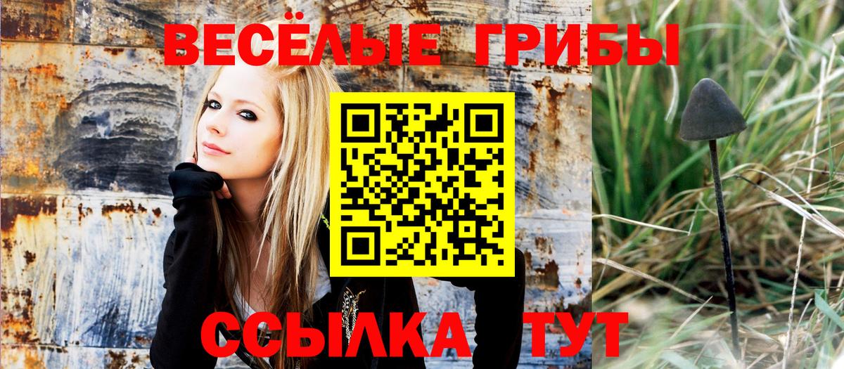 Псилоцибиновые грибы Psilocybe Екатеринбург