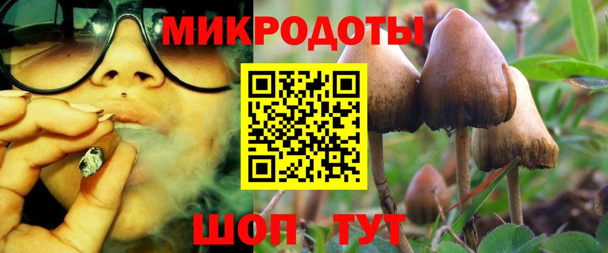 Псилоцибиновые грибы GOLDEN TEACHER  Псилоцибиновые грибы Magic Shrooms  Вход с VPN  Екатеринбург 