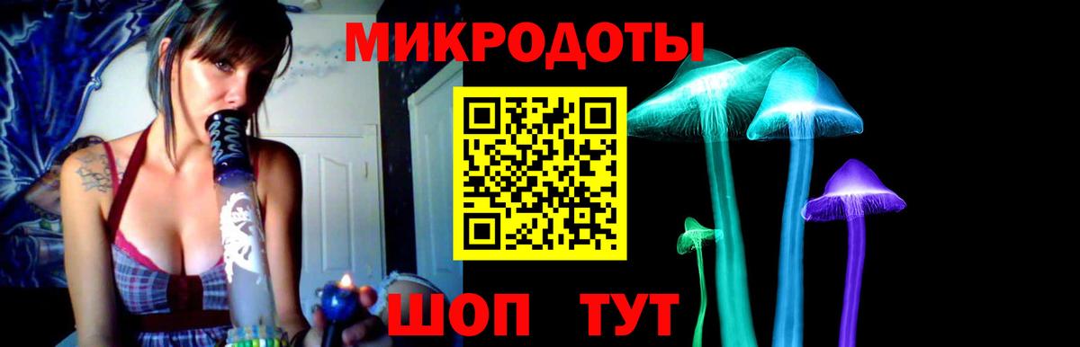 Галлюциногенные грибы мицелий  Галлюциногенные грибы Cubensis  Екатеринбург 